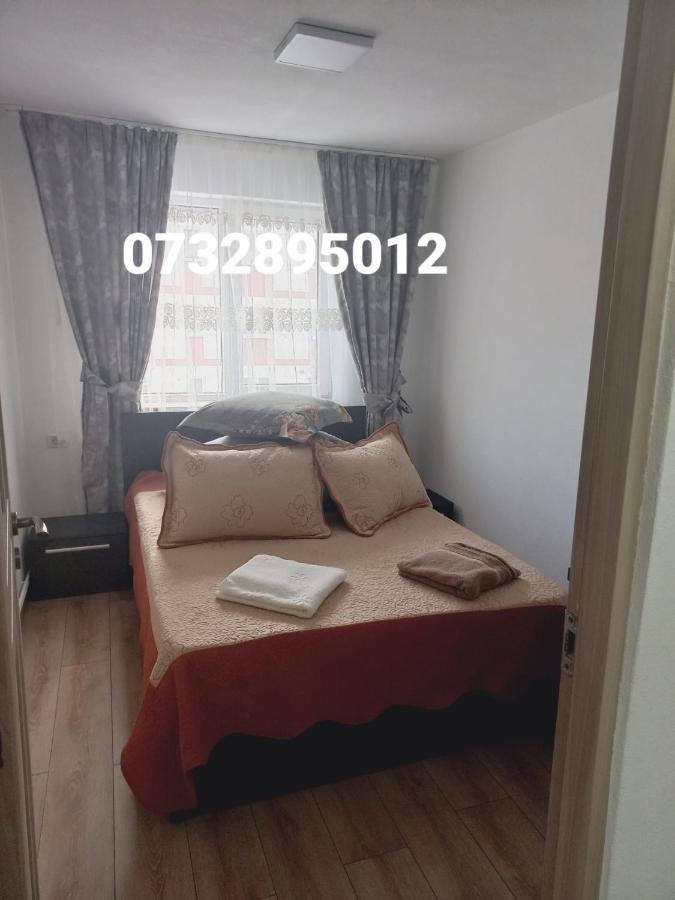 Apartament Bianca 坎普朗莫道尼斯 外观 照片