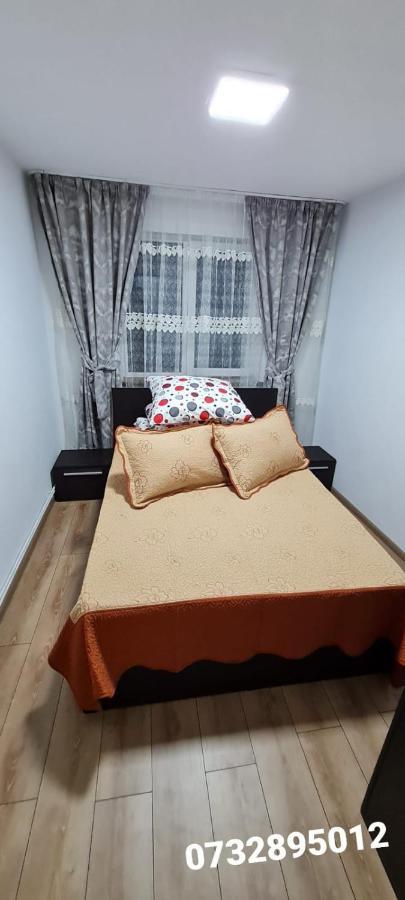 Apartament Bianca 坎普朗莫道尼斯 外观 照片